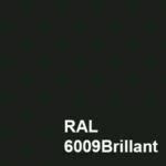 Coloris RAL 6009 Brillant